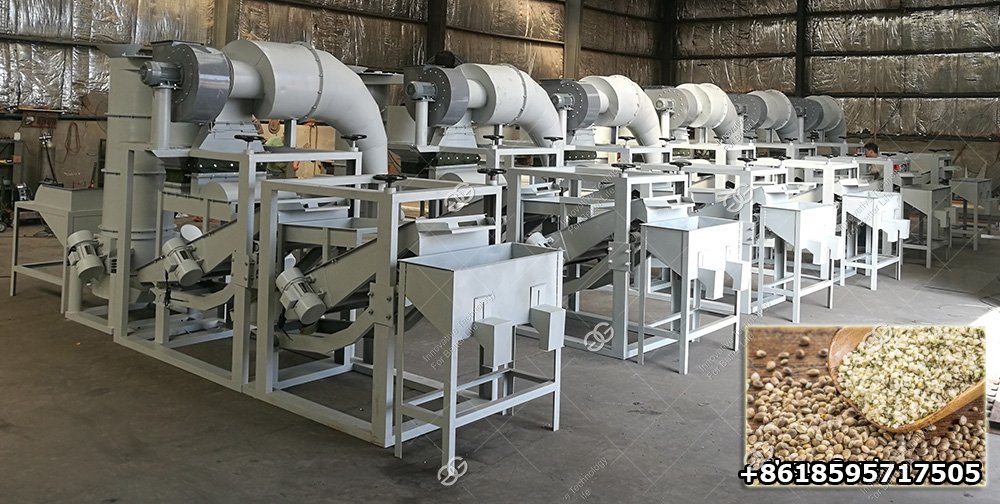 300 KG/H Hemp Seed Dehulling Machine Price