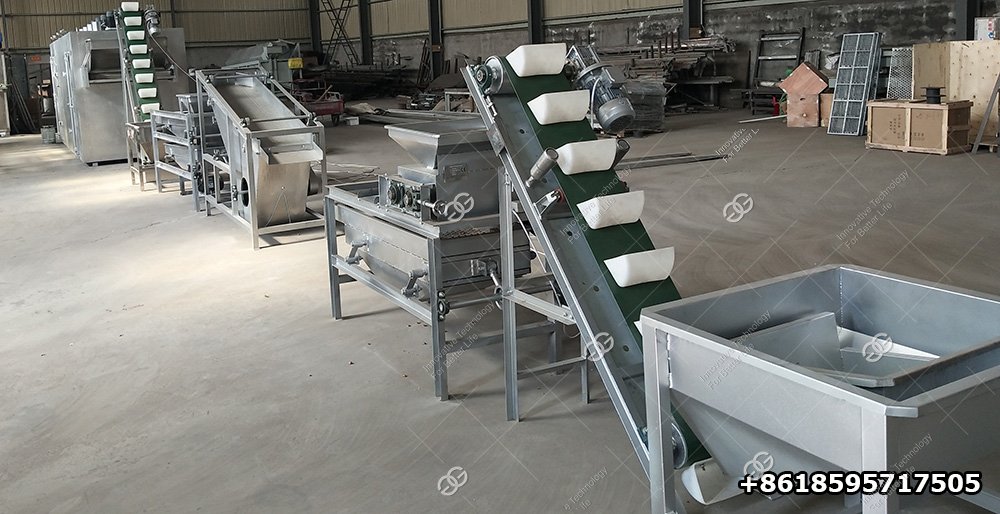 Hazelnut Processing Equipment