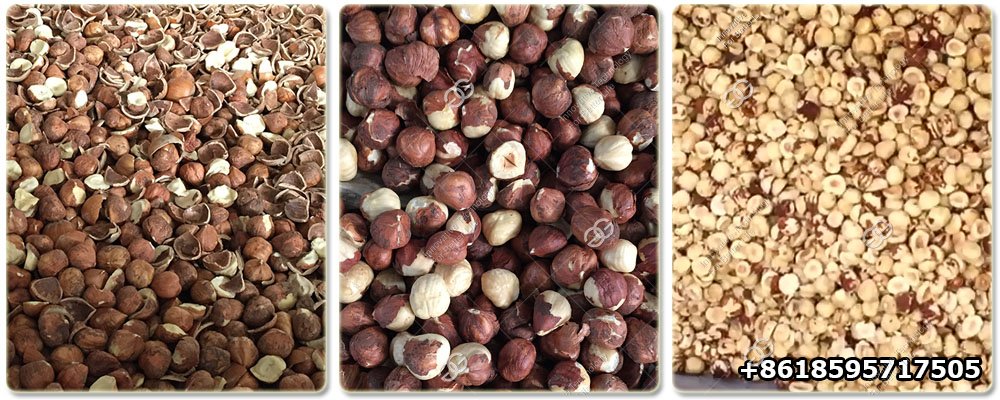 Hazelnut Process Plant